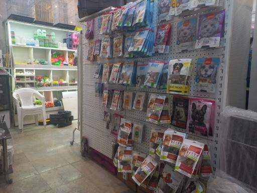 عکس پرندگان زینتی و پت شاپ پرشین