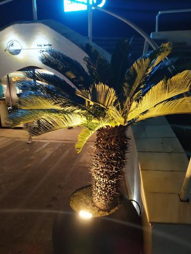 عکس کافی شاپ ساحلی هایت