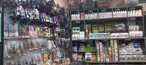 عکس پت شاپ آقای رئیس