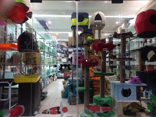 عکس پت شاپ آقای رئیس