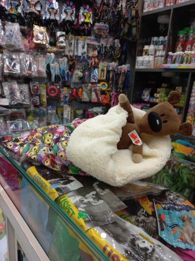 عکس پت شاپ آقای رئیس