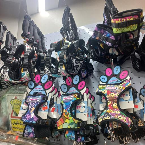 پت شاپ آقای رئیس