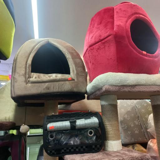 پت شاپ آقای رئیس