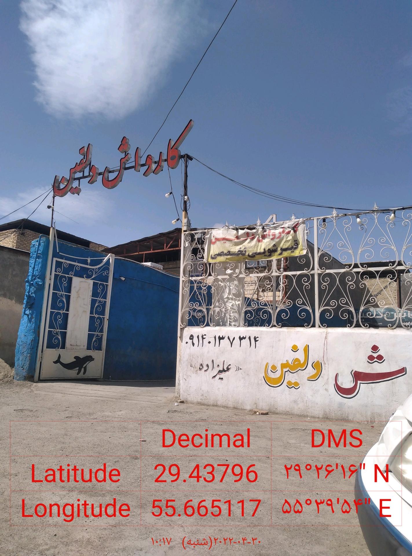 عکس کارواش دلفین