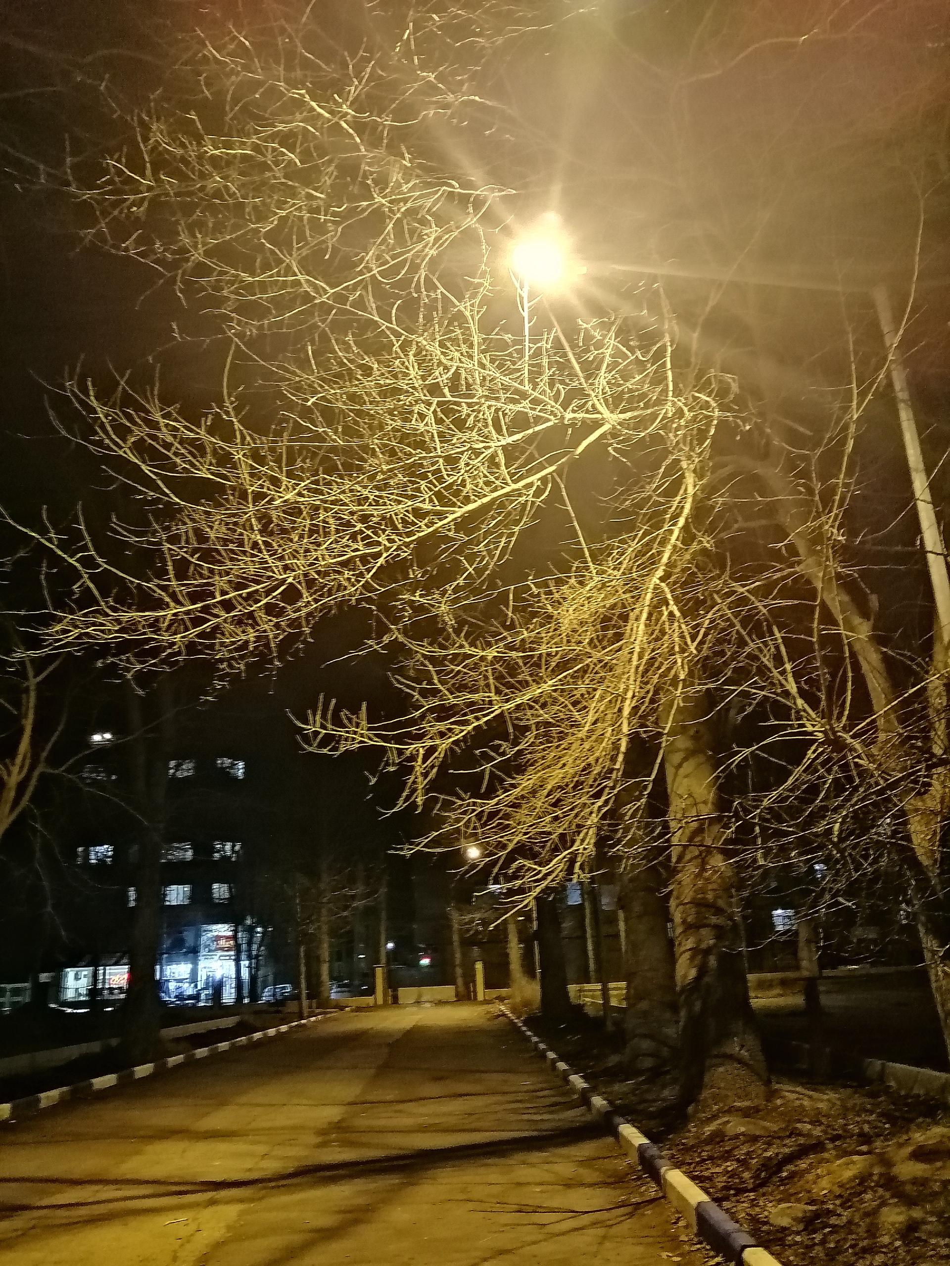 عکس پارک افرا