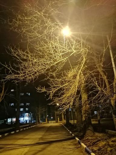 عکس پارک افرا