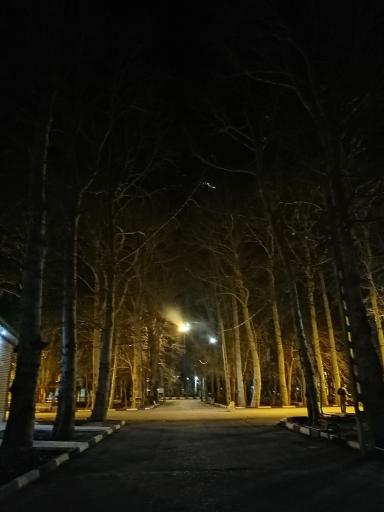 عکس پارک افرا