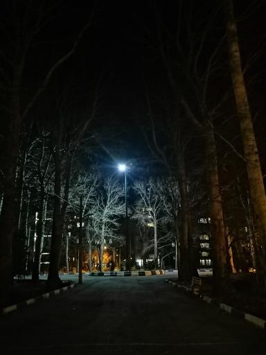 عکس پارک افرا