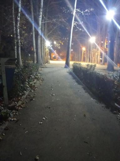 عکس پارک افرا