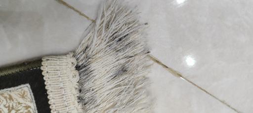 عکس قالیشویی  ۱۱۰