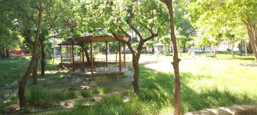 عکس پارک افرا