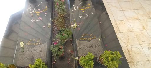 عکس پارک افرا