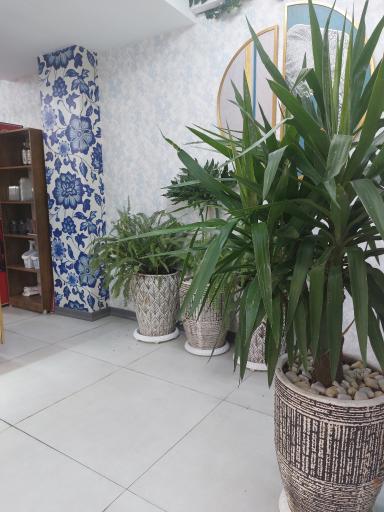 عکس کافی شاپ پری