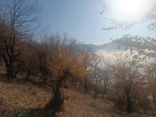 عکس زنگلاب