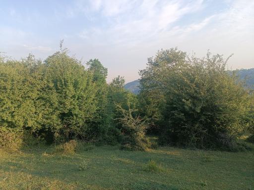 عکس زنگلاب