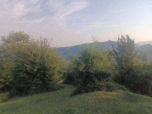 عکس زنگلاب