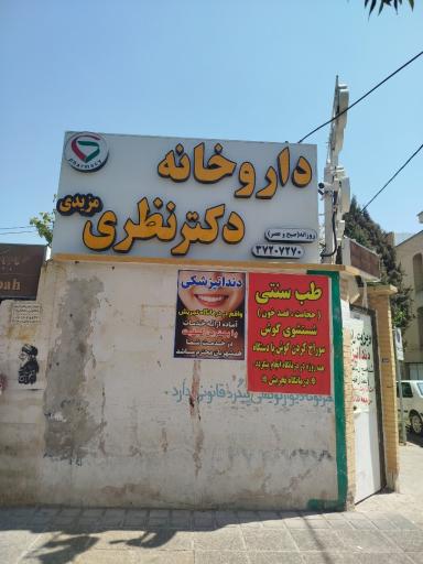 عکس نظری