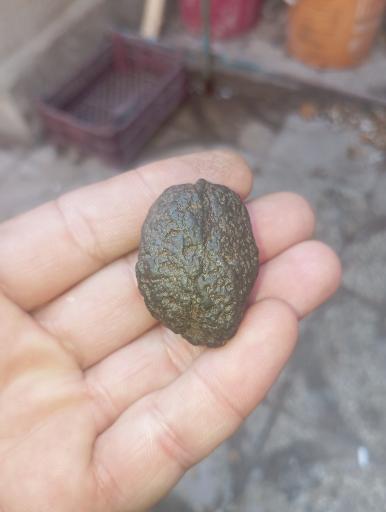 عکس گوهرشناسی کیپا