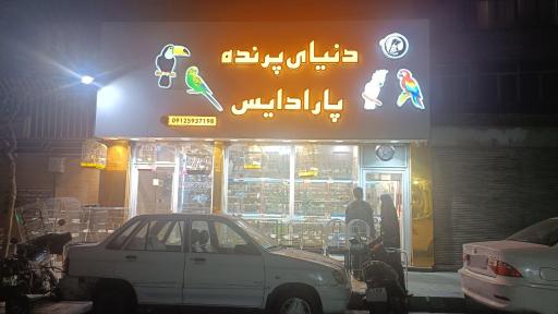 عکس دنیای پرنده پارادایس