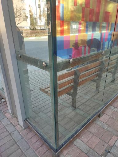 عکس  امیریه 66