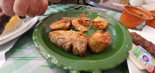 عکس غذای محلی شونیشت