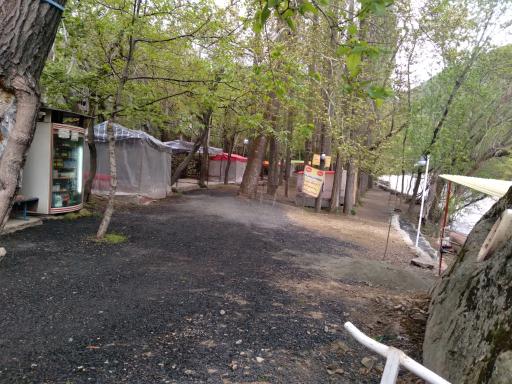 عکس باغ خانوادگی امیر آریا