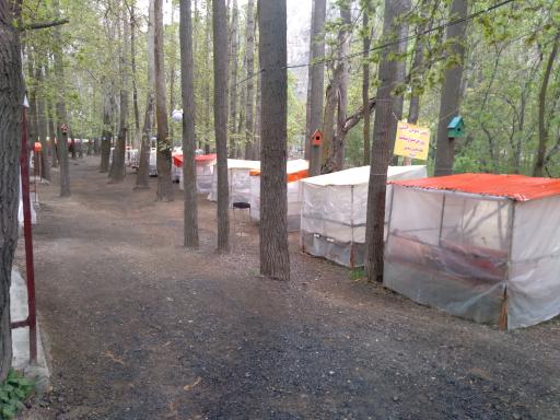 عکس باغ خانوادگی امیر آریا