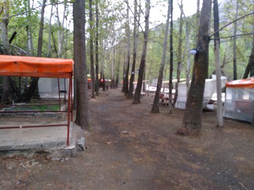 عکس باغ خانوادگی امیر آریا