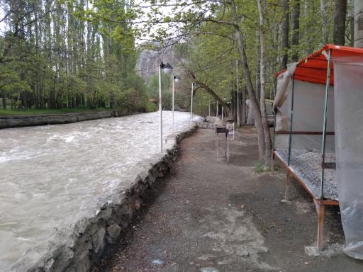 عکس باغ خانوادگی امیر آریا