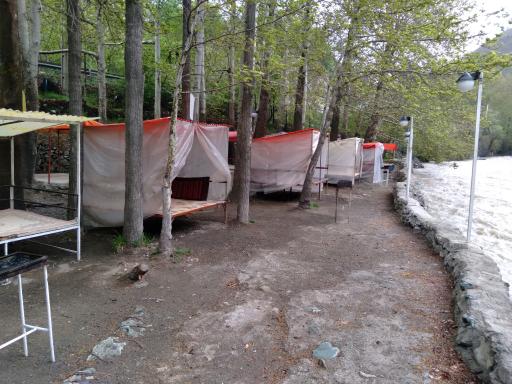 عکس باغ خانوادگی امیر آریا