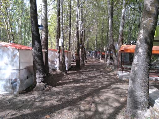 عکس باغ خانوادگی امیر آریا