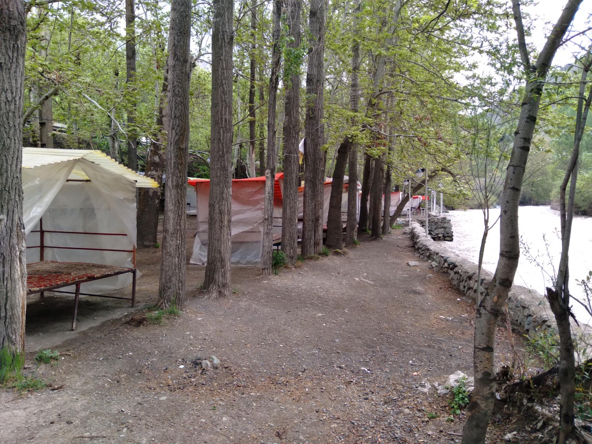 عکس باغ خانوادگی امیر آریا