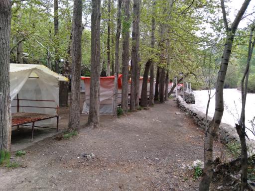 عکس باغ خانوادگی امیر آریا