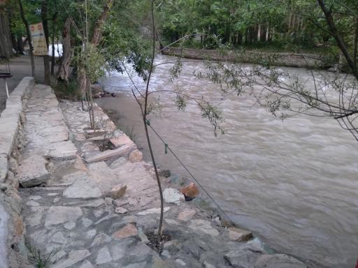 عکس باغ خانوادگی امیر آریا