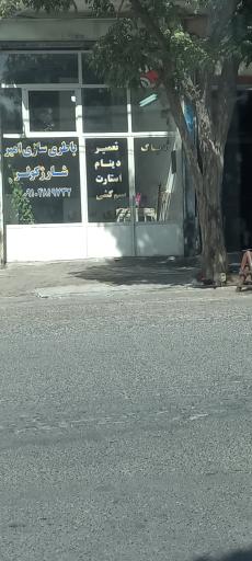 باطریسازی امیر