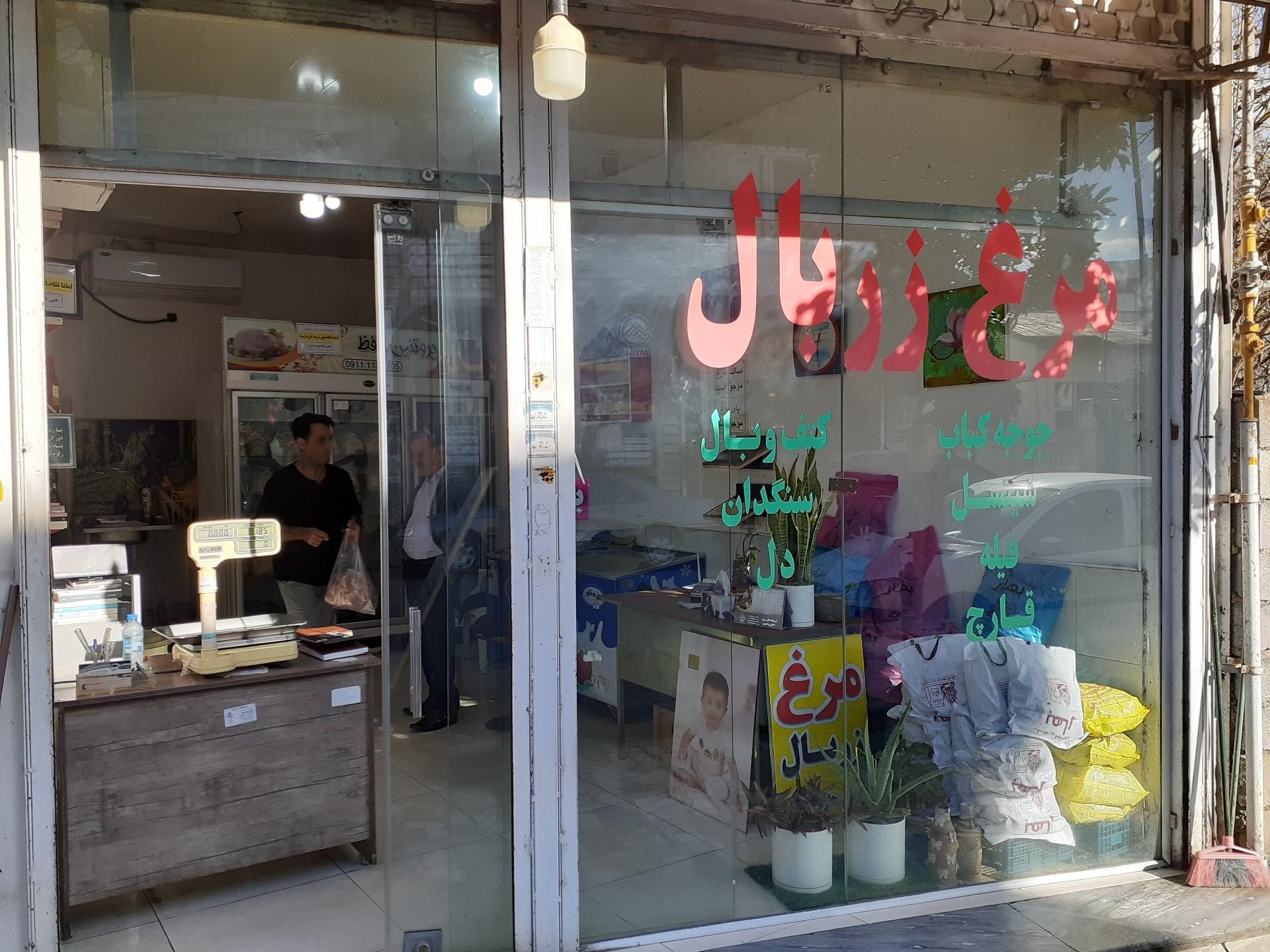 عکس مرغ زربال اسلامی