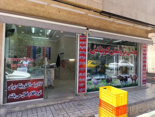 عکس سوپر پروتئین کوپائی