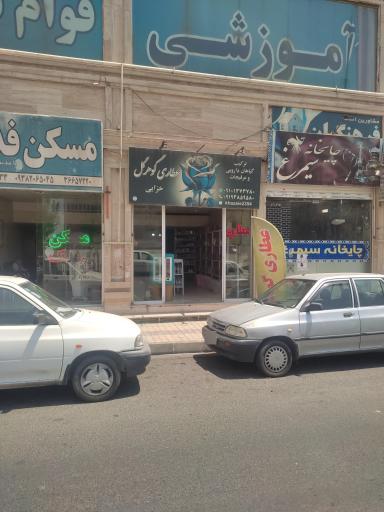 عکس عطاری گوهر گل خزایی