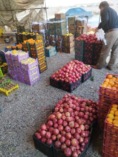 عکس میوه فروشی خلیل گرگی