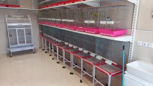 عکس فروشگاه تخصصی خراسان پاروت