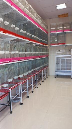 عکس فروشگاه تخصصی خراسان پاروت