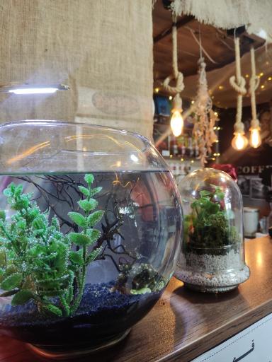 عکس قهوه استانبول