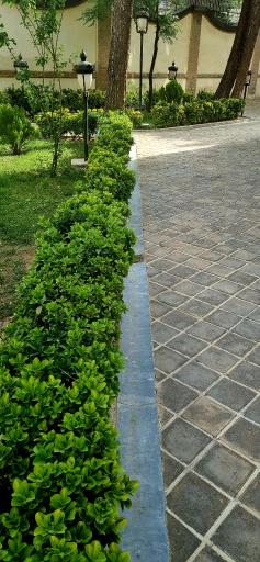 عکس عمارت شقاقی - کوشک مصری