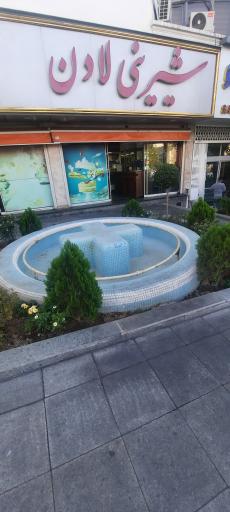 عکس شیرینی لادن