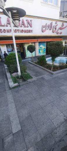 عکس شیرینی لادن