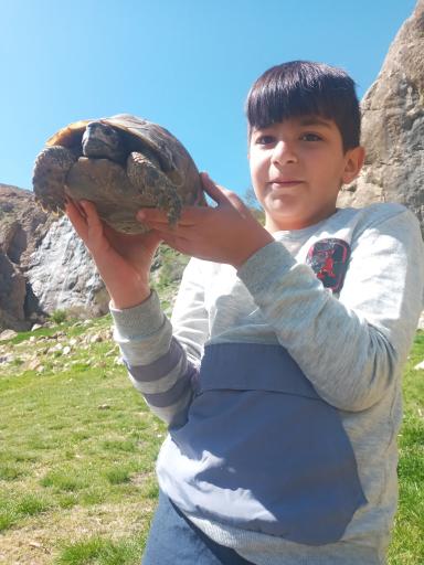 عکس آبشار ده چشمه