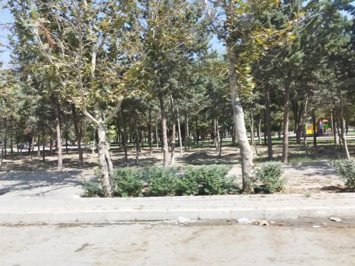 عکس پارک دیلمان باغی