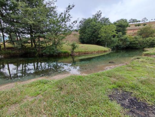 عکس هزارچشمه