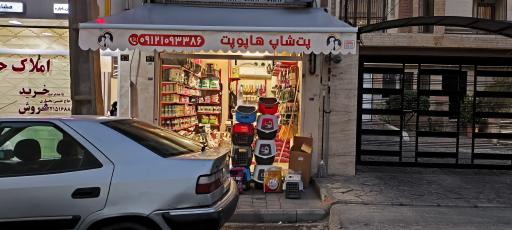 عکس هاپو پت