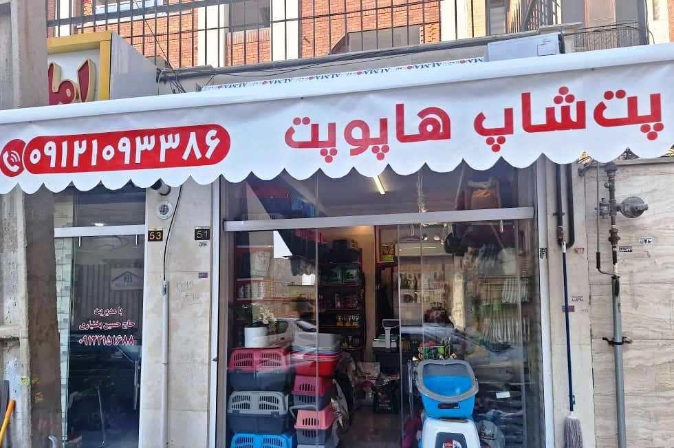 عکس هاپو پت